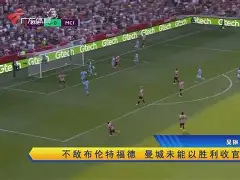 FB体育官网-汉堡SV勇敢夺取胜利，反击危情保级之路