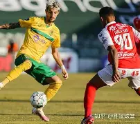 FB体育官网-汉堡SV勇敢夺取胜利，反击危情保级之路